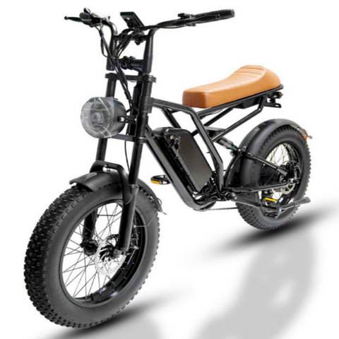 M1 Electric Bike|1250W motor|48V 13Ah|25Mph|50KM|20 inch