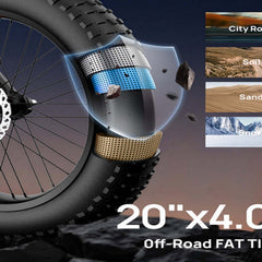 T2 Electric Fat Bike|745W motor|48V 15.6Ah|20*4.0 inches|100Miles|20MPH