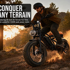M1 Electric Bike|1250W motor|48V 13Ah|25Mph|50KM|20 inch