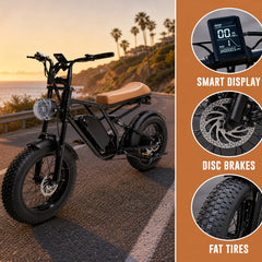M1 Electric Bike|1250W motor|48V 13Ah|25Mph|50KM|20 inch