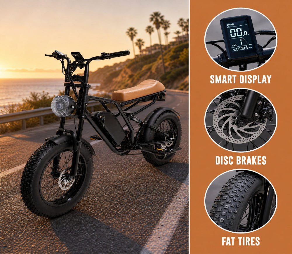 M1 Electric Bike|1250W motor|48V 13Ah|25Mph|50KM|20 inch