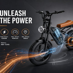 M1 Electric Bike|1250W motor|48V 13Ah|25Mph|50KM|20 inch