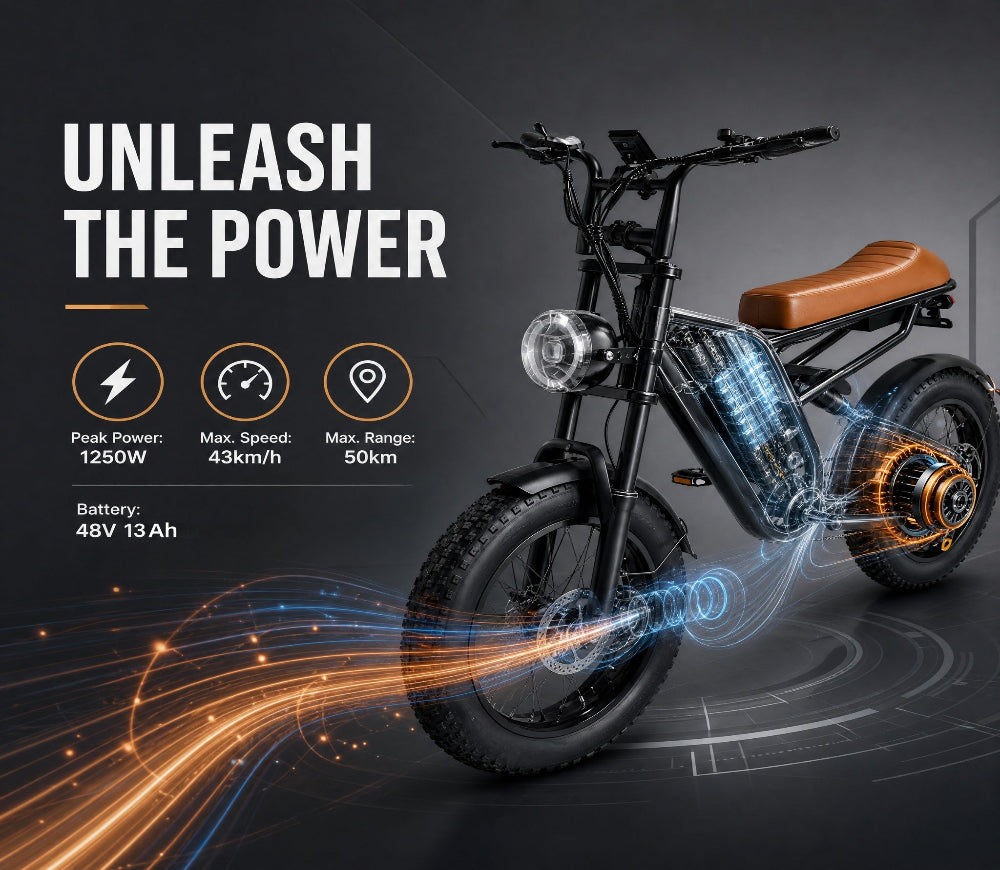 M1 Electric Bike|1250W motor|48V 13Ah|25Mph|50KM|20 inch