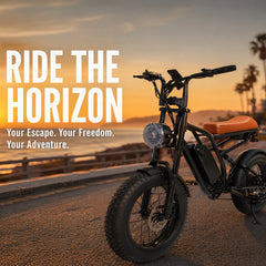 M1 Electric Bike|1250W motor|48V 13Ah|25Mph|50KM|20 inch