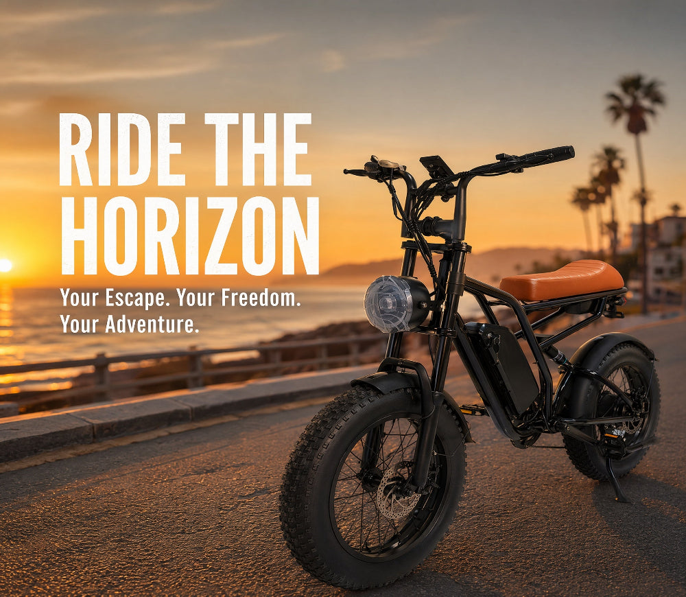 M1 Electric Bike|1250W motor|48V 13Ah|25Mph|50KM|20 inch