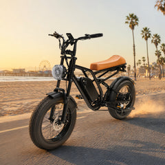 M1 Electric Bike|1250W motor|48V 13Ah|25Mph|50KM|20 inch