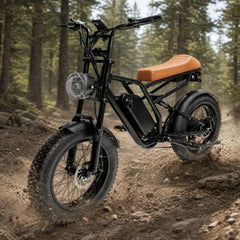 M1 Electric Bike|1250W motor|48V 13Ah|25Mph|50KM|20 inch