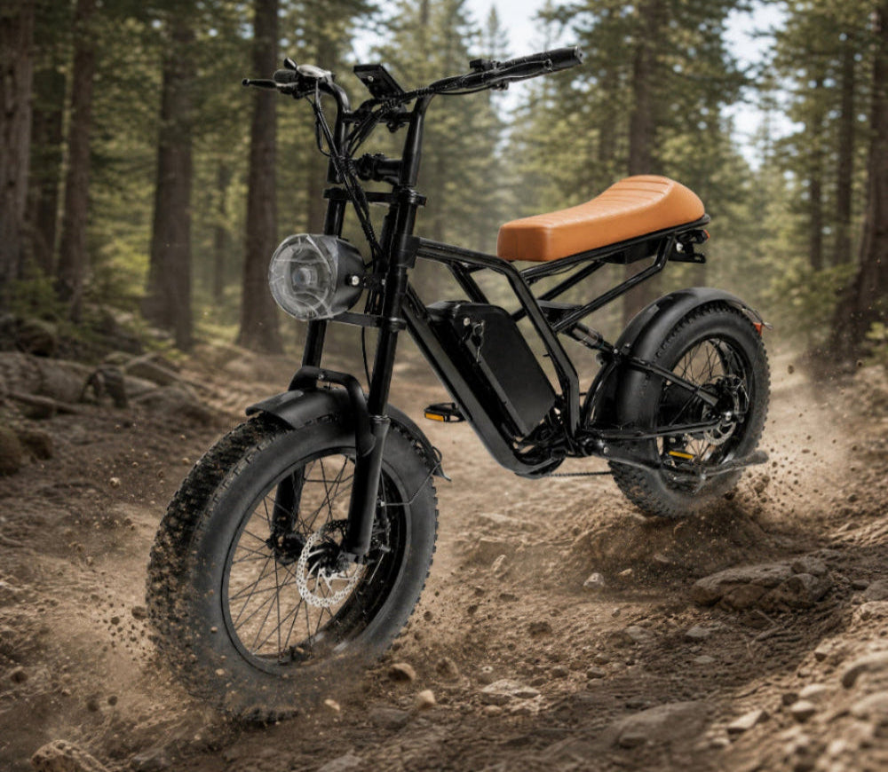 M1 Electric Bike|1250W motor|48V 13Ah|25Mph|50KM|20 inch