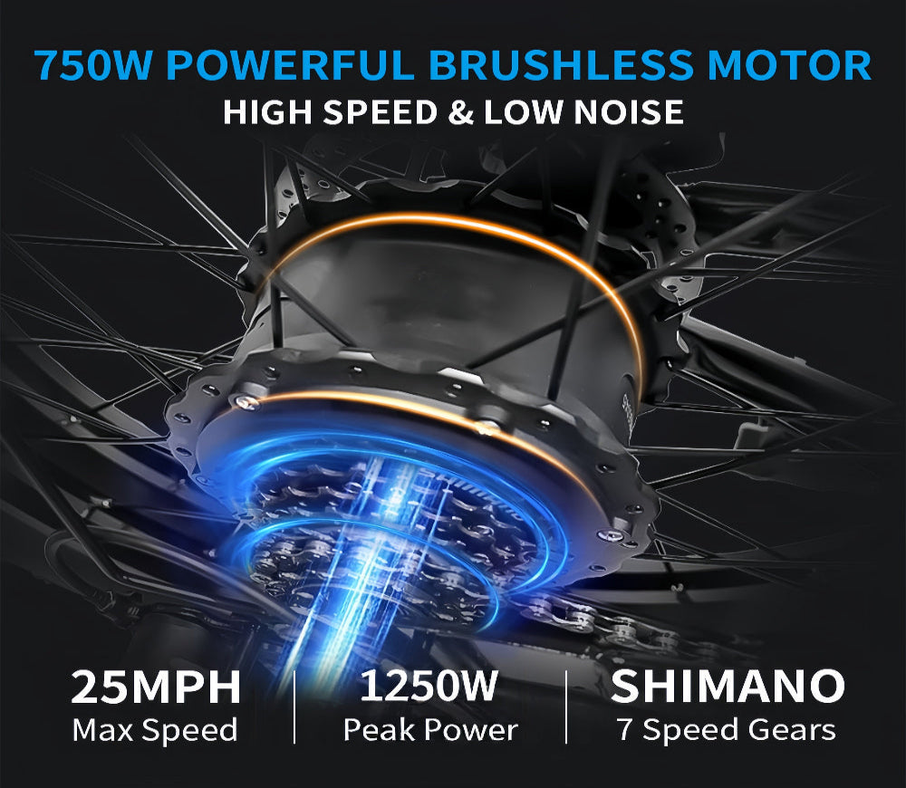 M1 Electric Bike|1250W motor|48V 13Ah|25Mph|50KM|20 inch