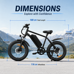 K10 Fat tire Mountain E-Bikes