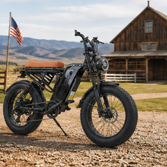 M4 Electric Bike|1150W motor|48V 15Ah|40-50KM|28Mph