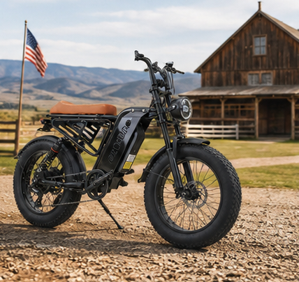 M4 Electric Bike|1150W motor|48V 15Ah|40-50KM|28Mph