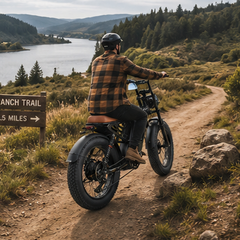 M4 Electric Bike|1150W motor|48V 15Ah|40-50KM|28Mph