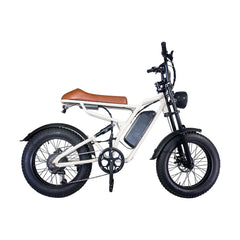 M1 Electric Bike|1250W motor|48V 13Ah|25Mph|50KM|20 inch