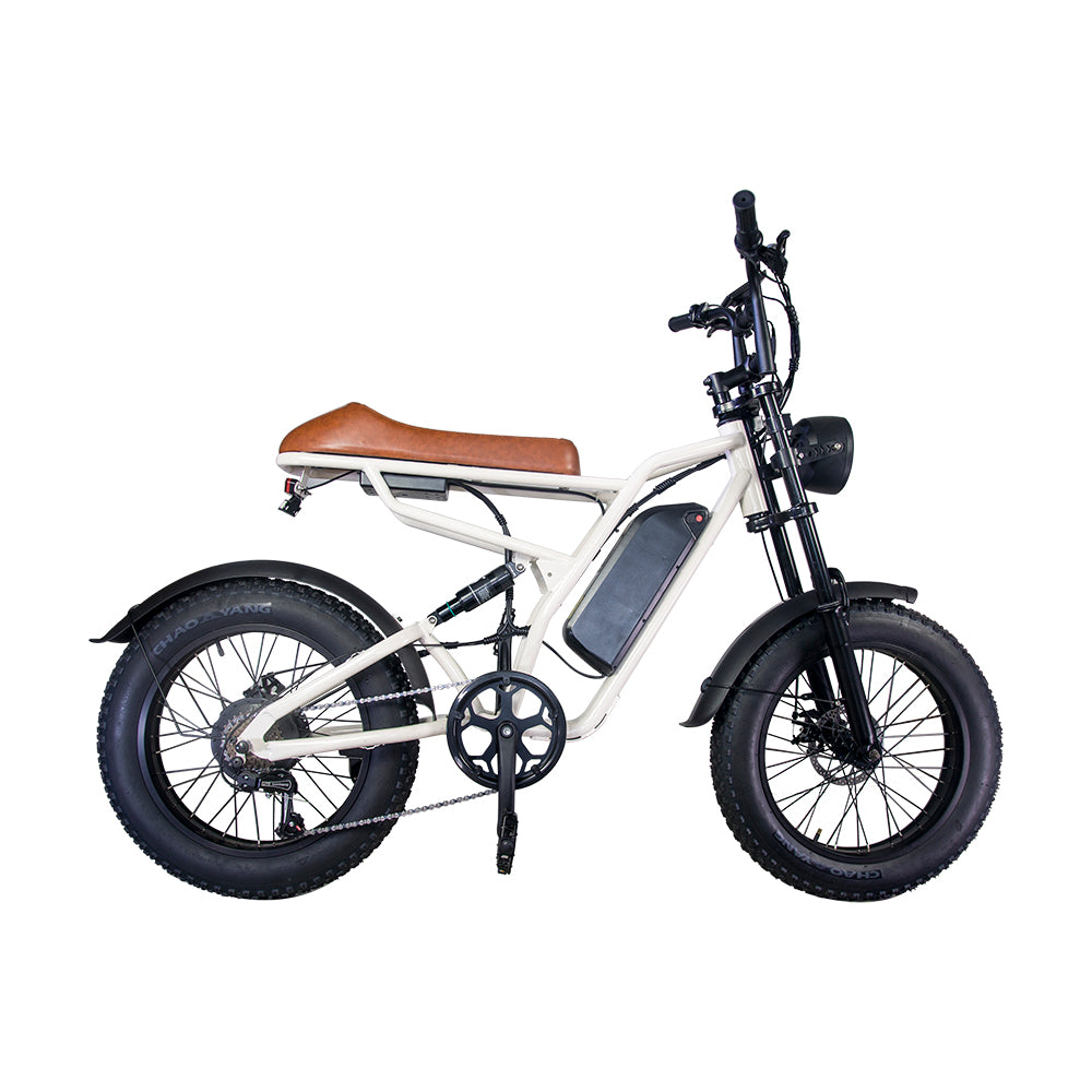 M1 Electric Bike|1250W motor|48V 13Ah|25Mph|50KM|20 inch