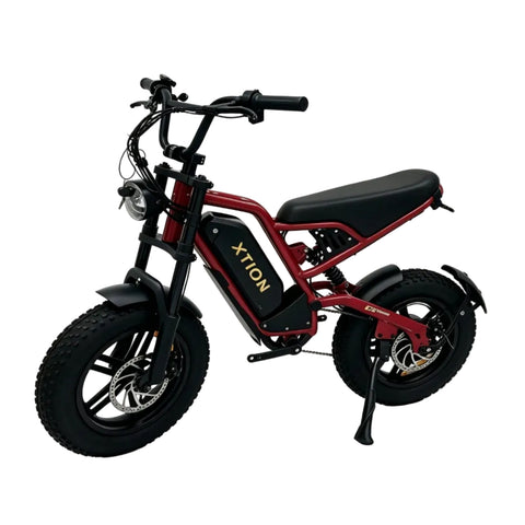 216mini Electric Bike|1000W motor|48V/15AH |20-40KM|15.5Mph|16*4.0inch