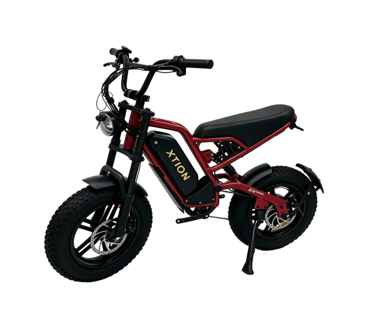216mini Electric Bike|1000W motor|48V/15AH |20-40KM|15.5Mph|16*4.0inch