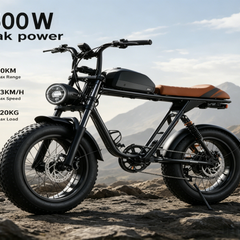 M2 Electric Bicycle |1500W motor |48V 15Ah |2.0×4.0inch|50KM