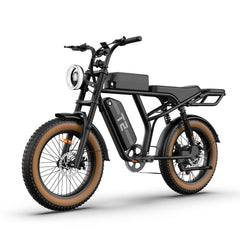 T2 Electric Fat Bike|745W motor|48V 15.6Ah|20*4.0 inches|100Miles|20MPH