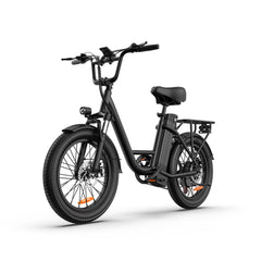 E20 Electric Bike|745W Motor|48V 13Ah |20*3.0 inches|20MPH| 80miles