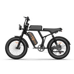 T2 Electric Fat Bike|745W motor|48V 15.6Ah|20*4.0 inches|100Miles|20MPH