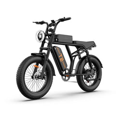 T2 Electric Fat Bike|745W motor|48V 15.6Ah|20*4.0 inches|100Miles|20MPH