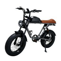 M2 Electric Bicycle |1500W motor |48V 15Ah |2.0×4.0inch|50KM