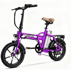 EF2 Folding E-Bikes|750W motor|36V 9AH|30-50KM|20MPH|16inch*2.5