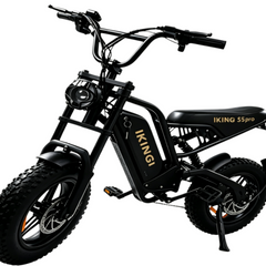216mini Electric Bike|1000W motor|48V/15AH |20-40KM|15.5Mph|16*4.0inch