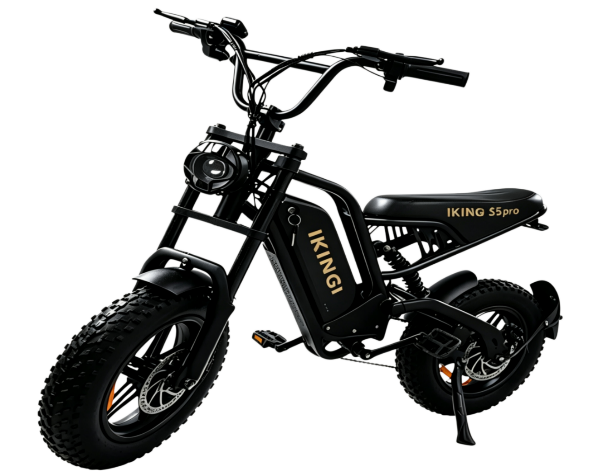 216mini Electric Bike|1000W motor|48V/15AH |20-40KM|15.5Mph|16*4.0inch