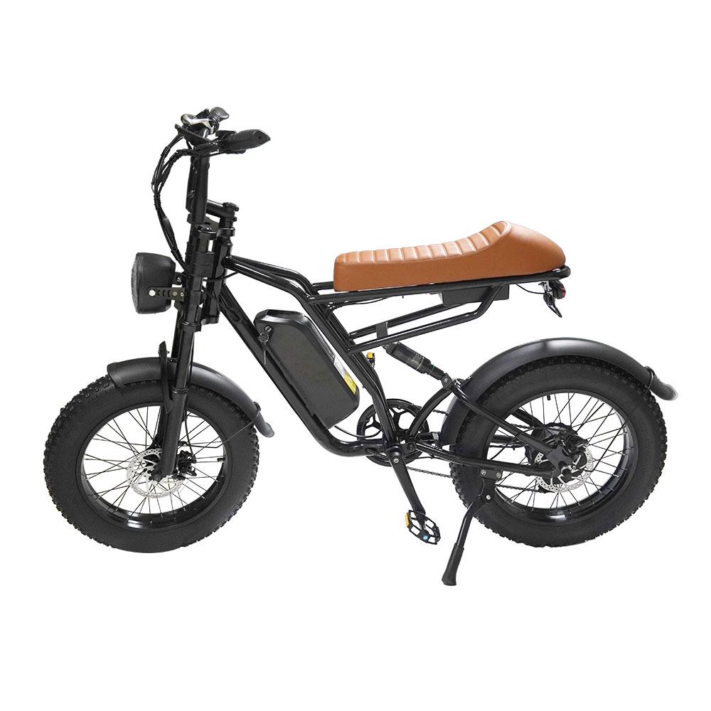 M1 Electric Bike|1250W motor|48V 13Ah|25Mph|50KM|20 inch