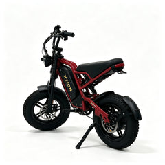 216mini Electric Bike|1000W motor|48V/15AH |20-40KM|15.5Mph|16*4.0inch