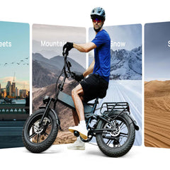 T5 Folding E-Bikes|250W motor|48V 13Ah|20*4.0 inches|25 km/h|80 miles
