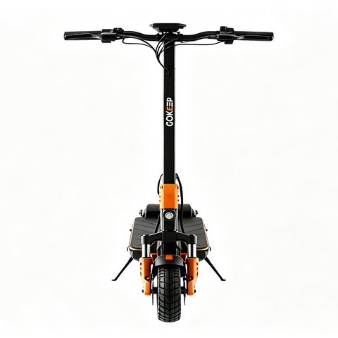 F4 Folding E-Bikes|1000W motor|48V 15.6Ah|20MPH|34Miles|10inch