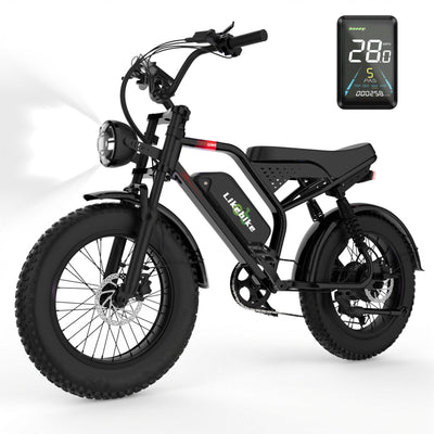 UM1 1500W power 48V 20Ah  28MPH