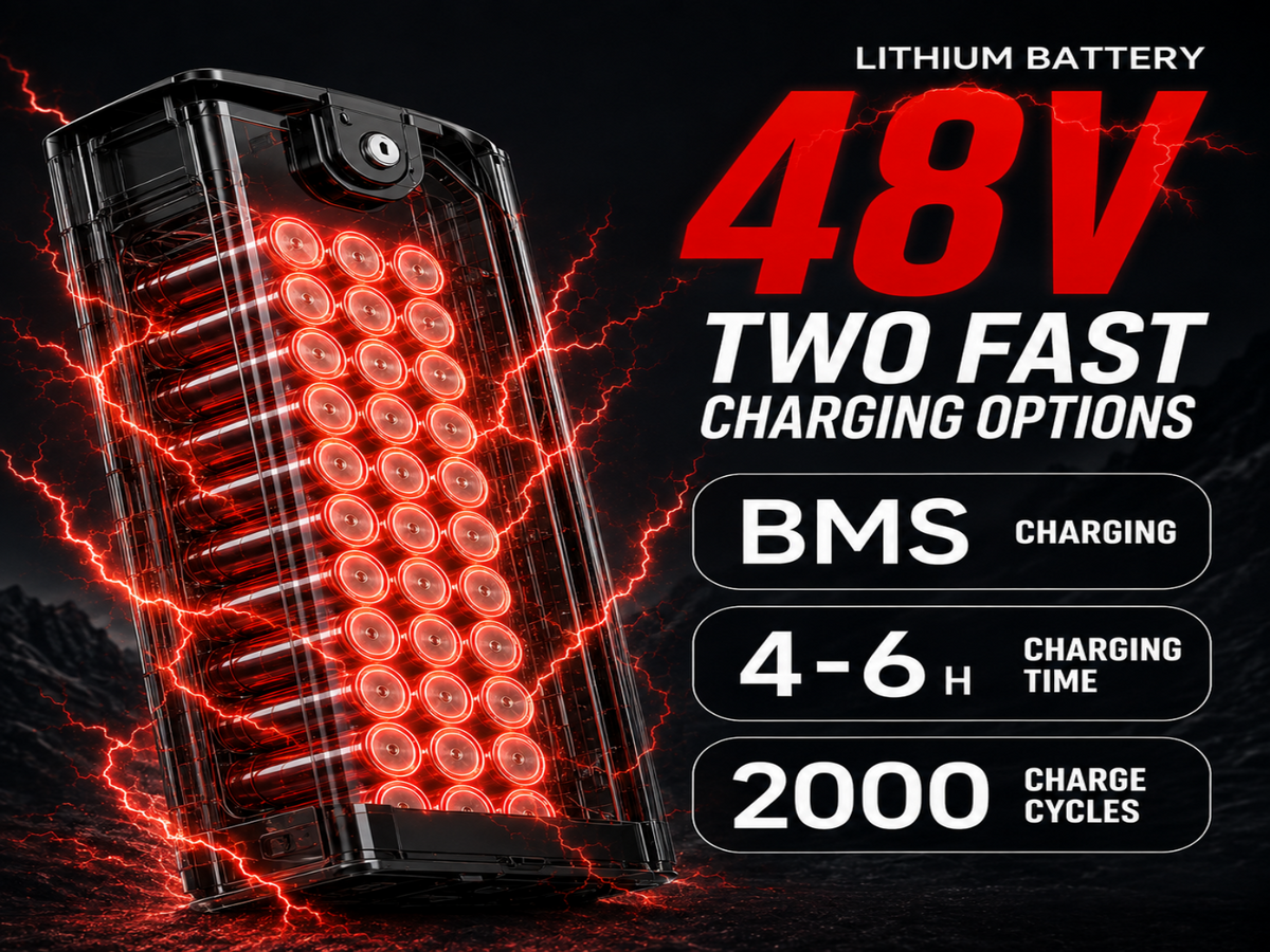 Z1 500W Motor 48V 15A 14 Zoll 43 km/h