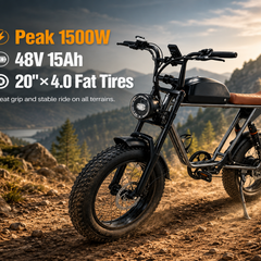 M2 Electric Bicycle |1500W motor |48V 15Ah |2.0×4.0inch|50KM