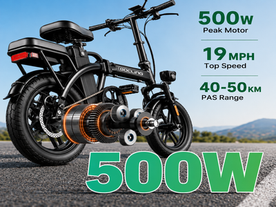 G11 500W motor 48V 10A 14inch 19mph