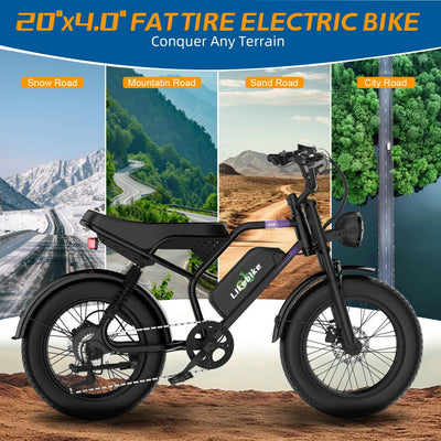 UM1 1500W power 48V 20Ah  28MPH