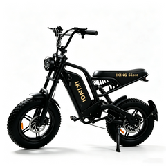 216mini Electric Bike|1000W motor|48V/15AH |20-40KM|15.5Mph|16*4.0inch