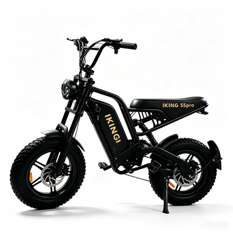 216mini Electric Bike|1000W motor|48V/15AH |20-40KM|15.5Mph|16*4.0inch