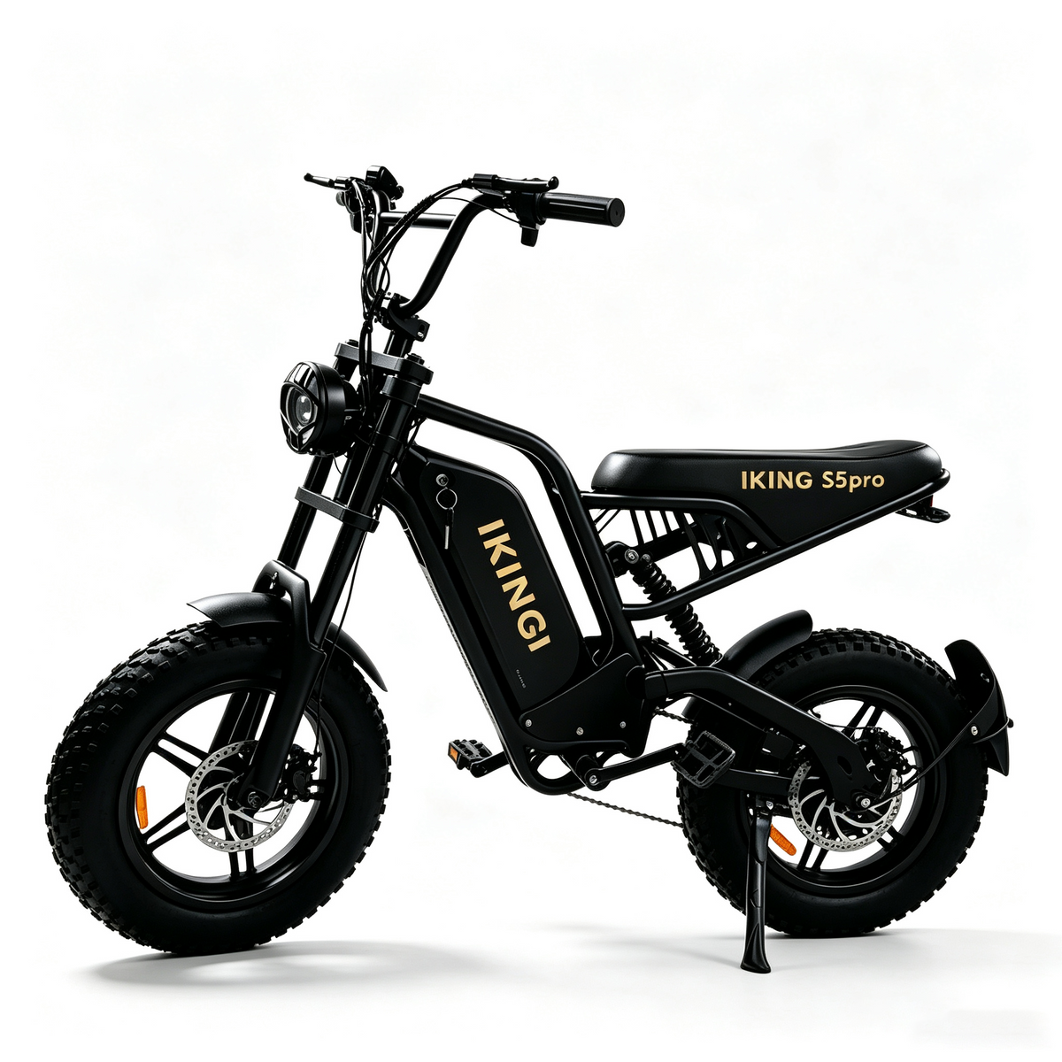 216mini Electric Bike|1000W motor|48V/15AH |20-40KM|15.5Mph|16*4.0inch