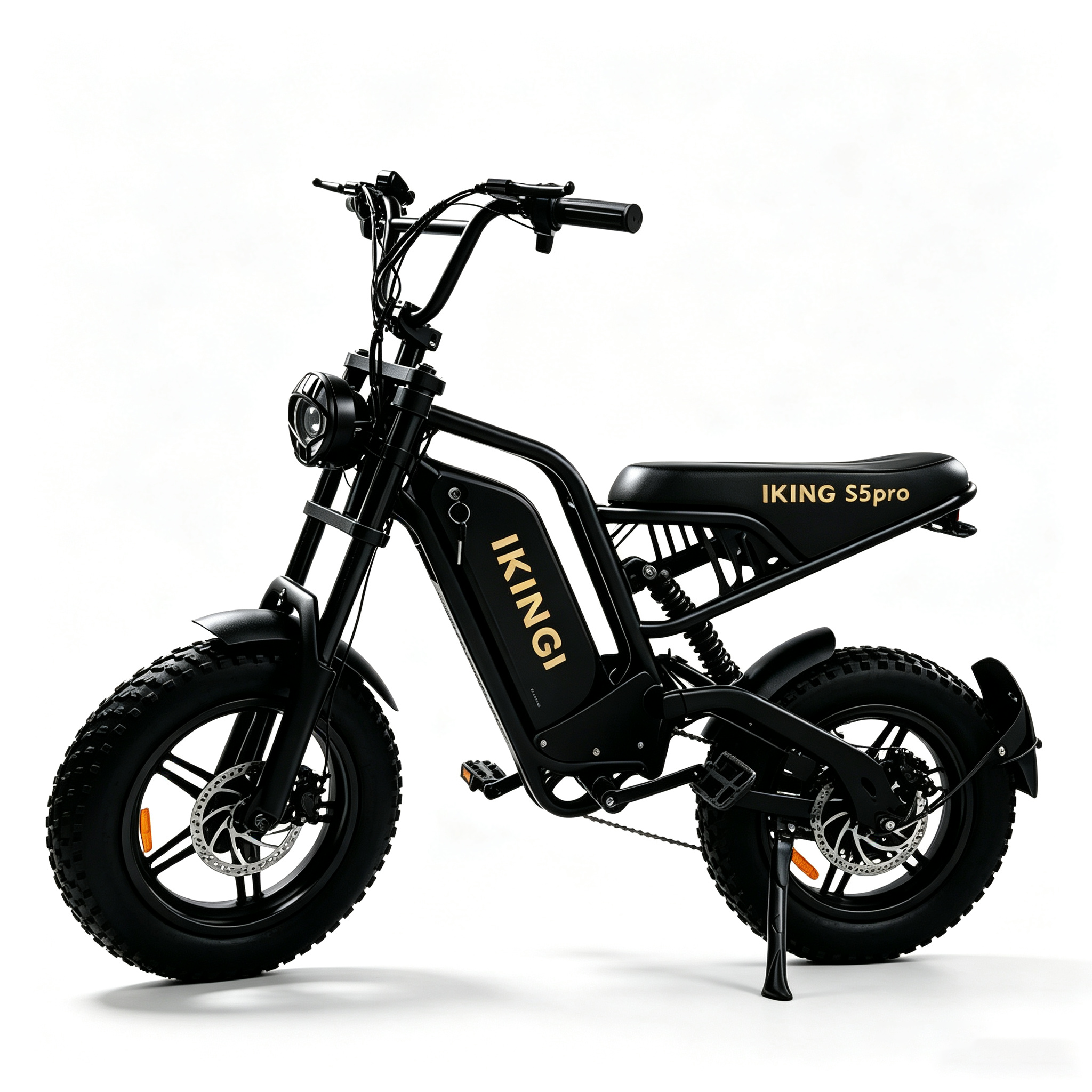 216mini Electric Bike|1000W motor|48V/15AH |20-40KM|15.5Mph|16*4.0inch