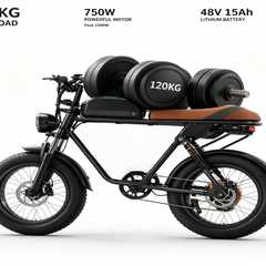 M2 Electric Bicycle |1500W motor |48V 15Ah |2.0×4.0inch|50KM
