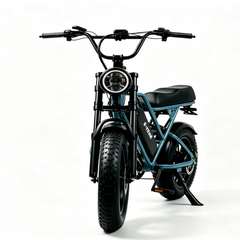G60mini Electric Bike | 350W motor|36V 15AH|20miles|32KM/H|16 inch