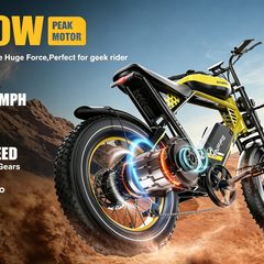 ES2D Electric Fat-Tire E-Bike |1500W*2 motor|48V 45Ah|32Mph|200Miles|20*4.0 inch