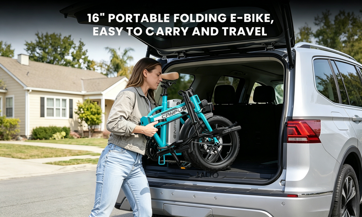 EF2 Folding E-Bikes|750W motor|36V 9AH|30-50KM|20MPH|16inch*2.5