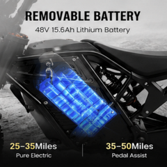 EDB001 Electric Motorcycles|1000W motor|48V 20.8Ah|14 inch|25-35Miles|35Mph