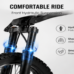 EDB001 Electric Motorcycles|1000W motor|48V 20.8Ah|14 inch|25-35Miles|35Mph
