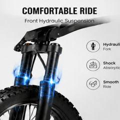 EDB001 Pro Electric Motorcycles|2000W motor|60V 20.8Ah|55-60km